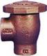 Febco 710A1 1" Atmospheric Vacuum Breaker