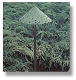 landscape lighting