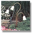 landscape lighting