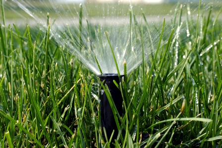Metro Detroit Sprinkler Start Up Special